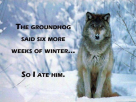 1612300658187.png