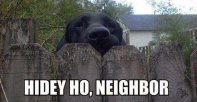 HiDeHo Neighbor.jpg