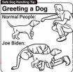 Joe-Biden-Meeting-Dogs.jpg