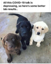 1617307286490.png