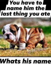 1618799763963.png