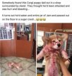1F03D420-B78A-45F6-A4E3-0B81E5AB9120.jpeg