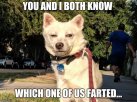 YOU-AND-I-BOTH-KNOW-WHICH-ONE-OF-US-FARTED..jpg