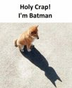 Holy-Crap-Im-Batman.jpg