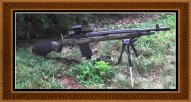 M 1-A grass.jpg