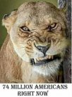 message-74-million-americans-right-now-snarling-lion.jpg