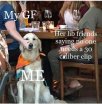 TheTruthAboutGuns-gun-meme-good-dog-768x778.jpg