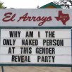 el-arroyo-aurtin-why-am-only-naked-person-at-this-gender-reveal-party.jpeg