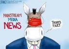 MSM Idiots.jpg