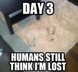 Funniest-Memes-of-the-Day-–-Funny-Pictures-1.jpg