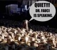 Anthony-Fauci-Sheep-quiet-Fauxi-is-speaking.jpg
