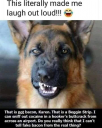 1624411190809.png