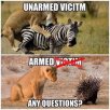 182ab2bd8080beea03ccc15c1605ba99--political-beliefs-gun-rights.jpg