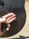 20210628_114447.jpg