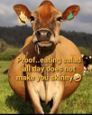 1625790939967.png