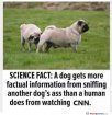 science-fact.jpg