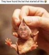 found that bat.jpg