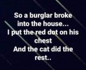 burglar.jpg