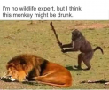 1628396896367.png