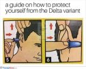 a-handy-guide.jpg