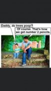 41003.jpeg