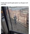 41069.jpeg