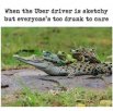 FB_IMG_1628806210404.jpg