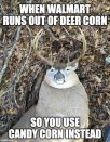 FB_IMG_1629379900844.jpg
