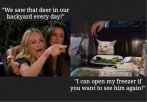 deer.jpg