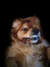 IMG_20201103_084516126.jpg