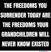 do-not-surrender-your-freedom.jpg