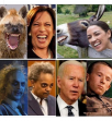 1631622436648.png
