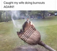 1631913759496.png