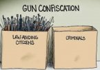 gun confiscation.jpeg