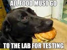 lab.png