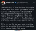 the-silver-lining.jpg