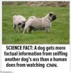 science.jpg