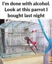 img(10).jpeg