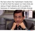 my-face-when746.jpg