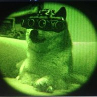 Doge