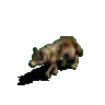 davidj